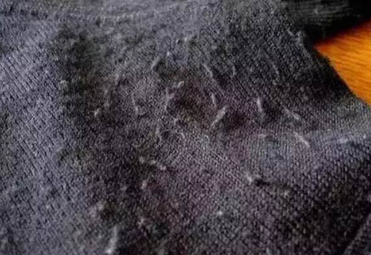 衣服起球？试试毛球修剪器