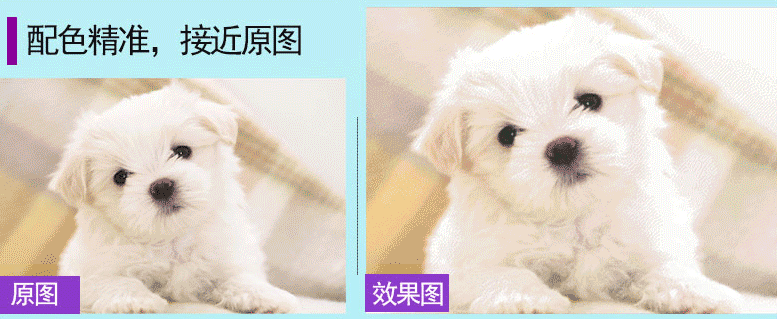 十字绣怎么绣背面不乱 十字绣绣法攻略大全 十字绣怎么绣背面不乱 十字绣绣法攻略大全