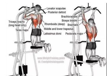 引体向上辅助器真的有吗 看完你就懂了 引体向上辅助器真的有吗 看完你就懂了