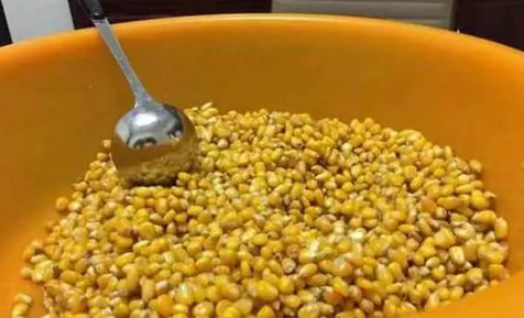 钓鲤鱼用什么饵料最好 怎么自制钓鲤鱼饵料 钓鲤鱼用什么饵料最好 怎么自制钓鲤鱼饵料