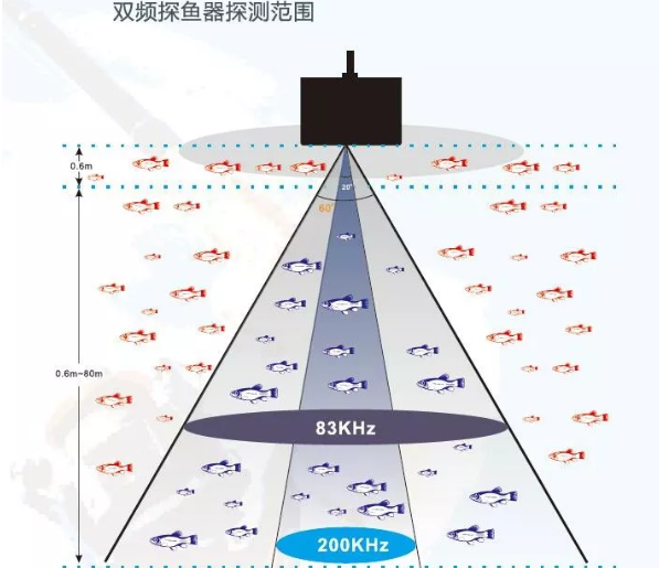 浅谈探鱼器的探测范围与深度的关系