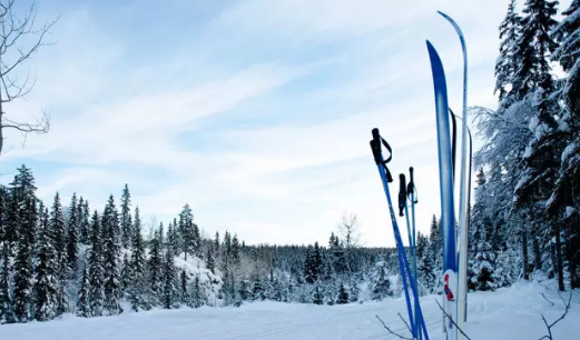 滑雪的基本要领是什么?滑雪杖应符合选择 滑雪的基本要领是什么?滑雪杖应符合选择