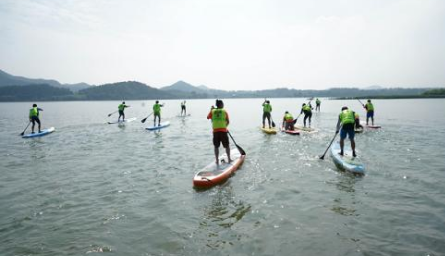 冲浪板和桨板的有什么区别?哪款更适合你 冲浪板和桨板的有什么区别?哪款更适合你