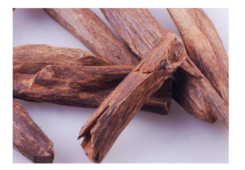 沉香是怎么行程的?沉香有哪些作用? 沉香是怎么行程的?沉香有哪些作用?