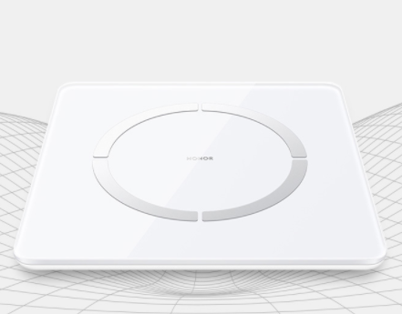 体脂称原理介绍 脂肪称如何使用 体脂称原理介绍 脂肪称如何使用