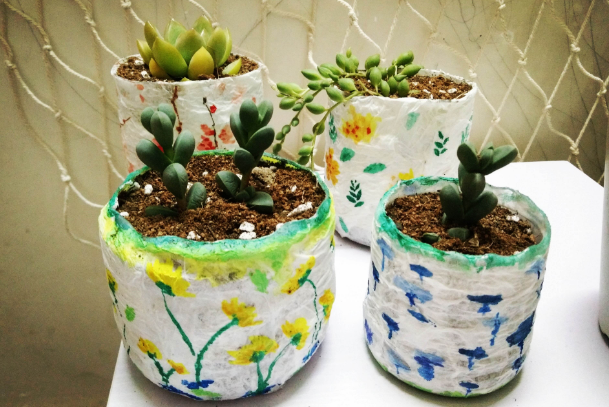 花盆该怎么分类以及选购?塑料花盆有毒吗 花盆该怎么分类以及选购?塑料花盆有毒吗