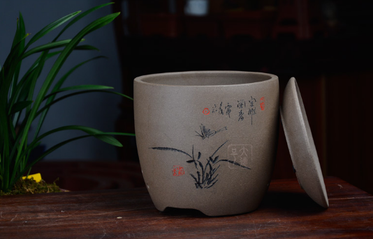 花盆该怎么分类以及选购？塑料花盆有毒吗