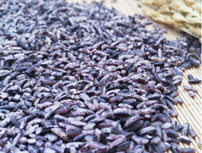 紫米营养价值如何 紫米饭有利于减肥吗