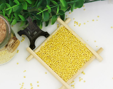 大黄米营养功效如何 大黄米和黄小米有什么区别 大黄米营养功效如何 大黄米和黄小米有什么区别