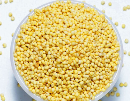 大黄米营养功效如何 大黄米和黄小米有什么区别