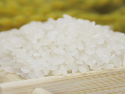 粳米是什么米 粳米相关知识分享 粳米是什么米 粳米相关知识分享