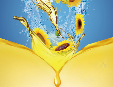 葵花籽油如何选购 葵花籽油食用注意 葵花籽油如何选购 葵花籽油食用注意