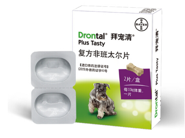 宠物狗驱虫秘籍 狗狗身上常见寄生虫及治疗