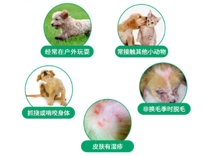 宠物狗驱虫秘籍 狗狗身上常见寄生虫及治疗 宠物狗驱虫秘籍 狗狗身上常见寄生虫及治疗