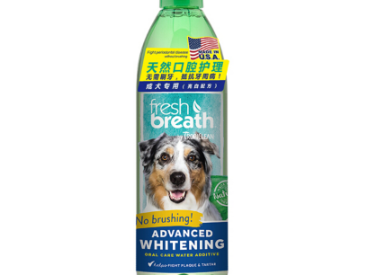 狗狗漱口水怎么选 狗狗漱口水的使用频率和量多少合适 狗狗漱口水怎么选 狗狗漱口水的使用频率和量多少合适