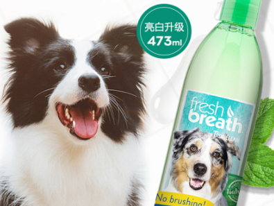 狗狗漱口水怎么选 狗狗漱口水的使用频率和量多少合适 狗狗漱口水怎么选 狗狗漱口水的使用频率和量多少合适
