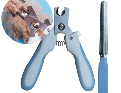 如何给狗狗剪指甲 狗指甲剪怎么选 如何给狗狗剪指甲 狗指甲剪怎么选