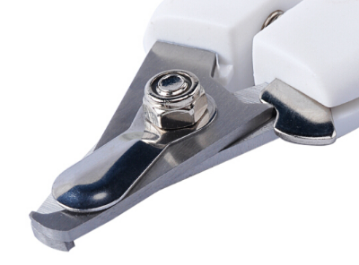 如何给狗狗剪指甲 狗指甲剪怎么选 如何给狗狗剪指甲 狗指甲剪怎么选