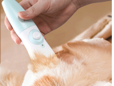 狗剃毛器怎么用 给狗狗剃毛注意事项 狗剃毛器怎么用 给狗狗剃毛注意事项