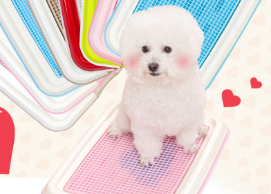 狗厕所分类及选购 狗厕所使用有哪些注意事项 狗厕所分类及选购 狗厕所使用有哪些注意事项