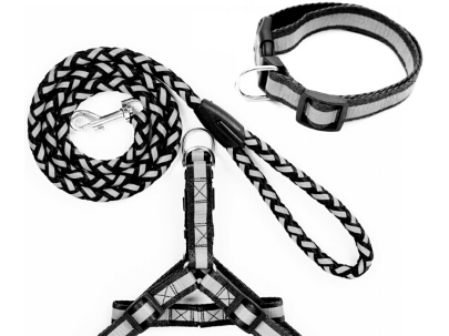 狗链的种类及优缺点 狗链怎么带 狗链的种类及优缺点 狗链怎么带