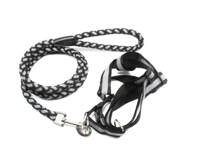 狗链的种类及优缺点 狗链怎么带 狗链的种类及优缺点 狗链怎么带