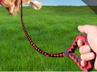 狗链的种类及优缺点 狗链怎么带 狗链的种类及优缺点 狗链怎么带