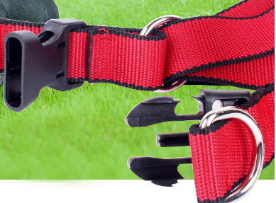 狗链的种类及优缺点 狗链怎么带 狗链的种类及优缺点 狗链怎么带