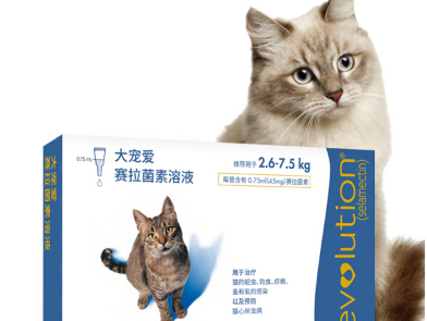 猫驱虫多久一次 猫驱虫药怎么选