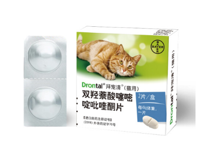 猫驱虫多久一次 猫驱虫药怎么选 猫驱虫多久一次 猫驱虫药怎么选