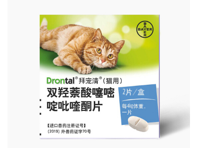 猫驱虫多久一次 猫驱虫药怎么选