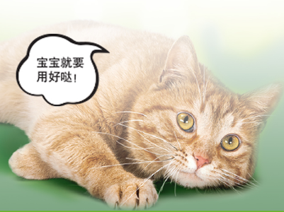 猫驱虫多久一次 猫驱虫药怎么选