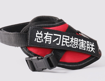 遛猫绳使用方法 教你自制遛猫绳