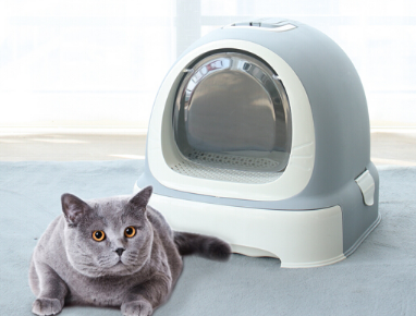 猫砂盆如何挑选 猫砂盆摆放哪里合适 猫砂盆如何挑选 猫砂盆摆放哪里合适