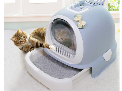 猫砂盆如何挑选 猫砂盆摆放哪里合适