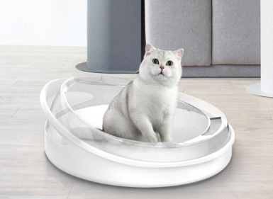 猫砂盆如何挑选 猫砂盆摆放哪里合适 猫砂盆如何挑选 猫砂盆摆放哪里合适