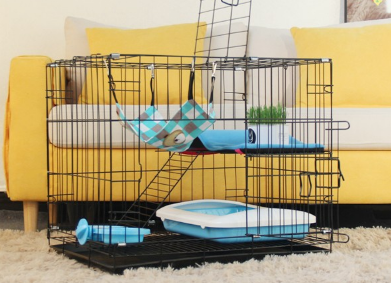 猫笼有什么作用 如何让猫咪适应住猫笼 猫笼有什么作用 如何让猫咪适应住猫笼