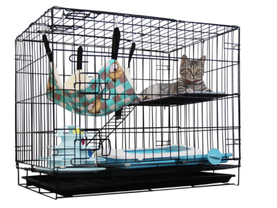 猫笼有什么作用 如何让猫咪适应住猫笼