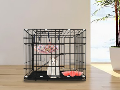 猫笼有什么作用 如何让猫咪适应住猫笼 猫笼有什么作用 如何让猫咪适应住猫笼