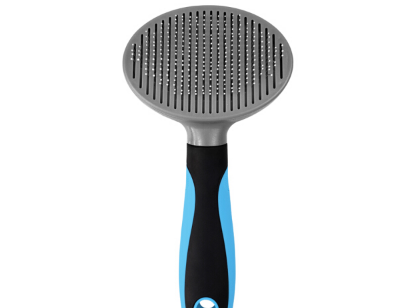 猫咪梳有什么好处 如何正确给猫咪梳毛 猫咪梳有什么好处 如何正确给猫咪梳毛