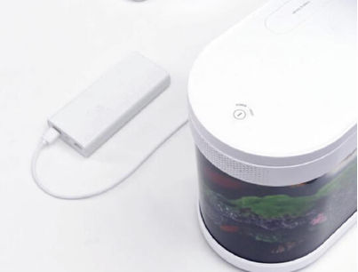 水族箱如何选购 水族箱造景的几种常见类型 水族箱如何选购 水族箱造景的几种常见类型