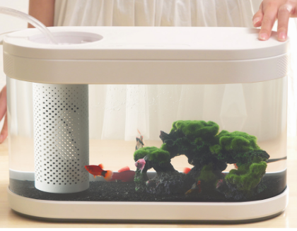 水族箱如何选购 水族箱造景的几种常见类型 水族箱如何选购 水族箱造景的几种常见类型