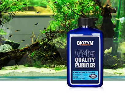 净水剂对鱼有伤害吗 如何正确使用净水剂 净水剂对鱼有伤害吗 如何正确使用净水剂