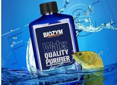 净水剂对鱼有伤害吗 如何正确使用净水剂 净水剂对鱼有伤害吗 如何正确使用净水剂