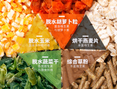 兔粮营养成分好吗 兔粮如何准备