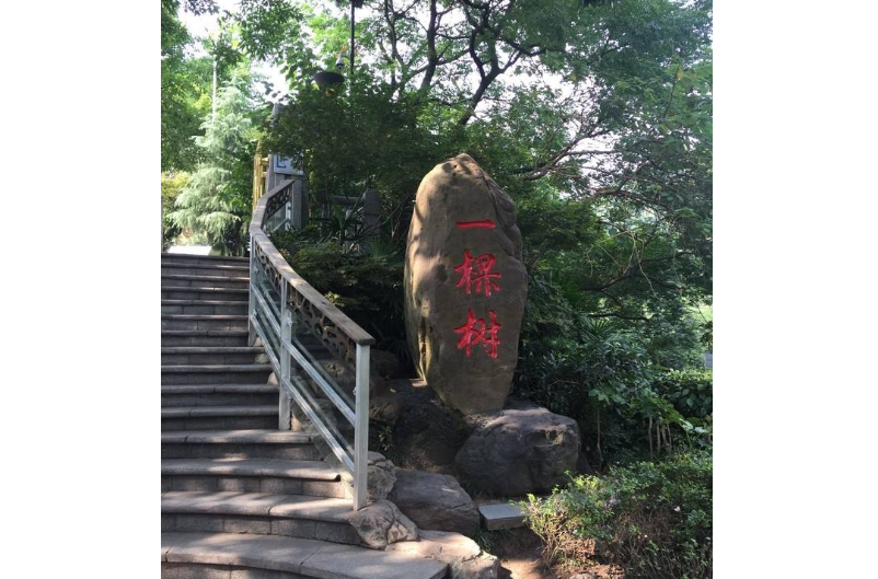 重庆旅行，适合大学生高性价旅游攻略