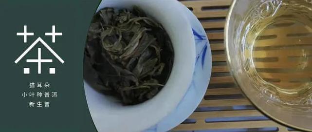非主流普洱茶 小叶种