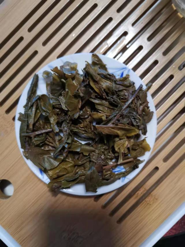 老茶人说好.新茶客嫌歹的普洱老黄片? #小茶控品鉴包