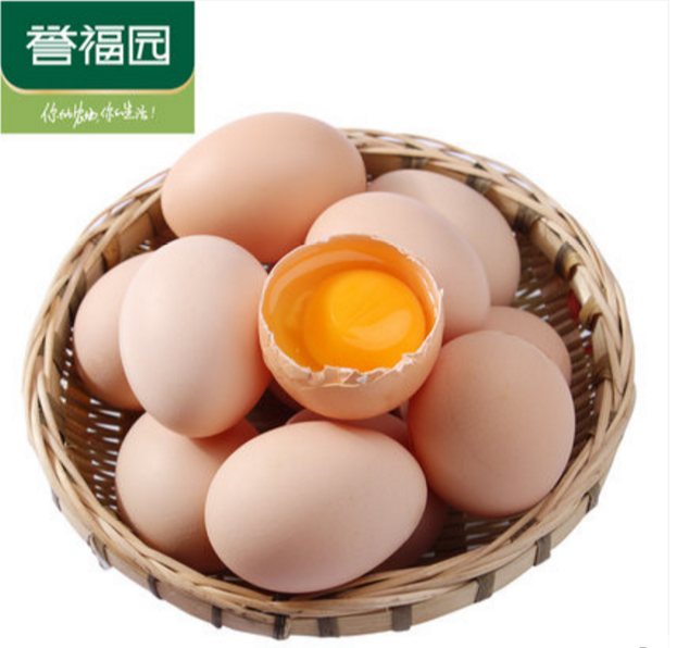 熊孩子，在家要孵鸡蛋。。。