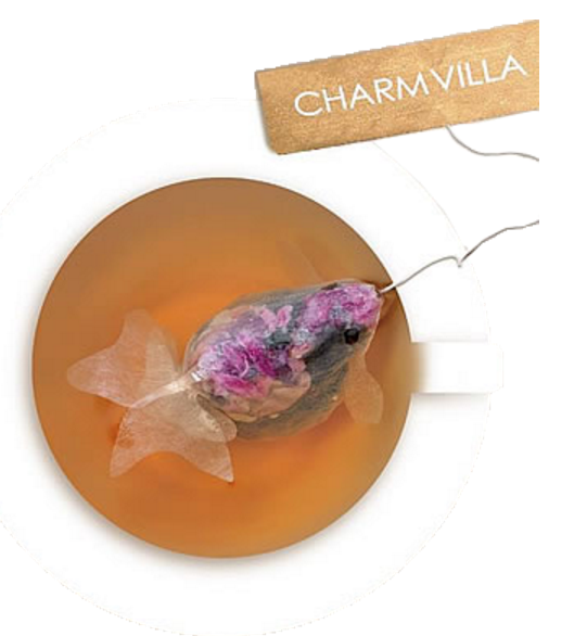 别致的小金鱼茶包